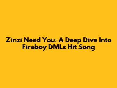 Zinzi Need You: A Deep Dive Into Fireboy DML's Hit Song